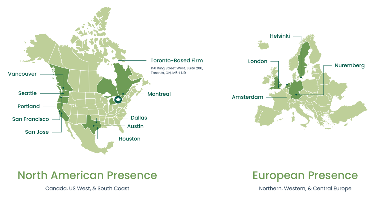 Nikoleta Associates Company Overview World Map Presence Option 1