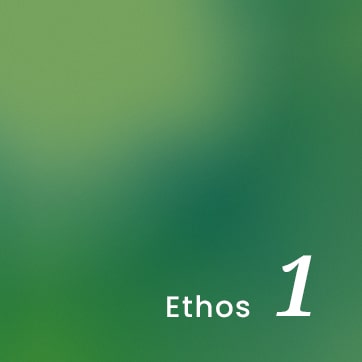 Nikoleta and associates Ethos 1