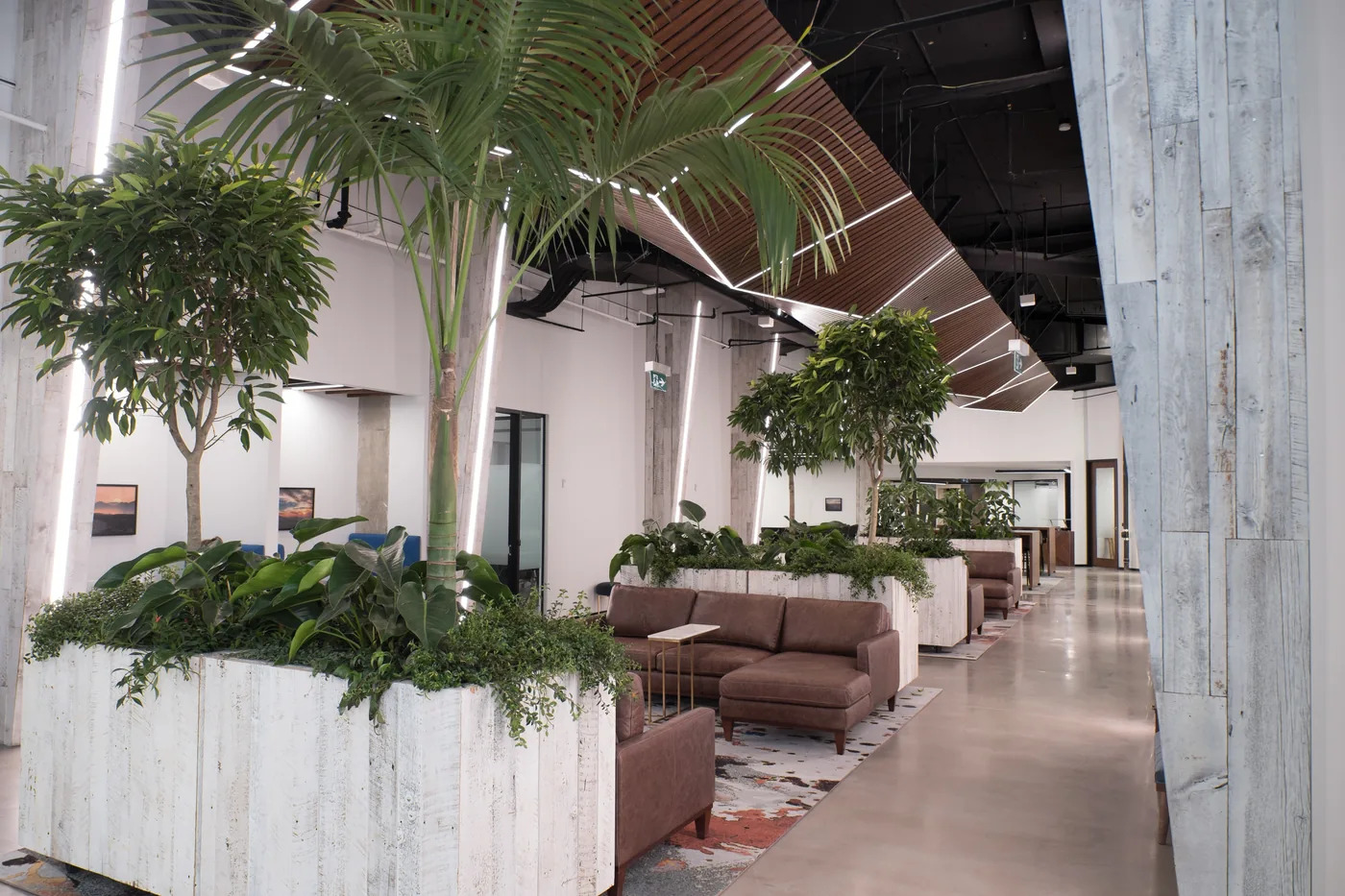 green lounge