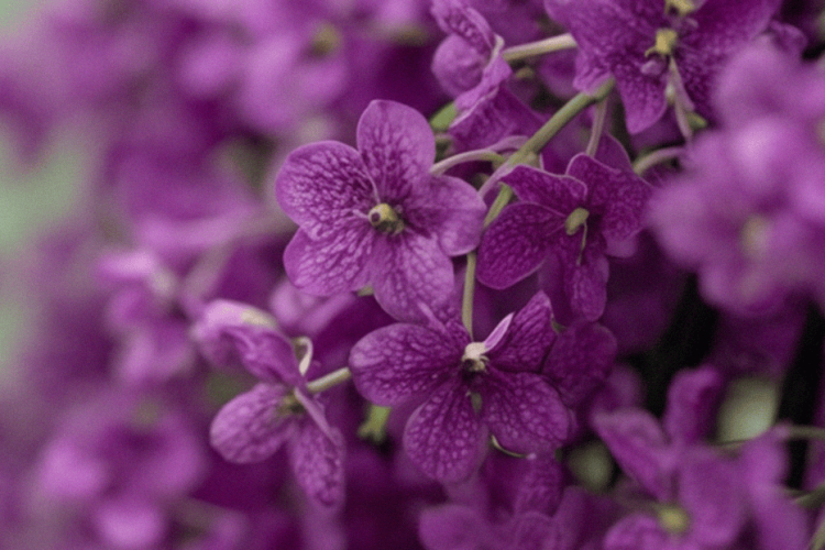 Executive_Cohesion_Series_Panel_Image_Option_4