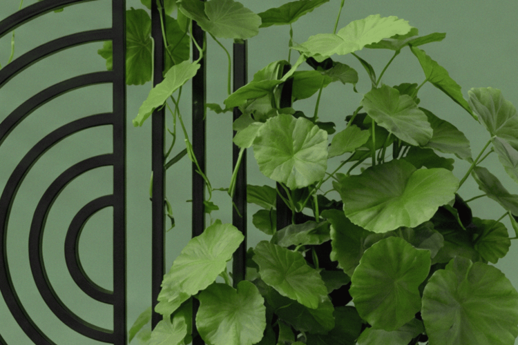 L&E_Series_Pannel_Image_Option_2